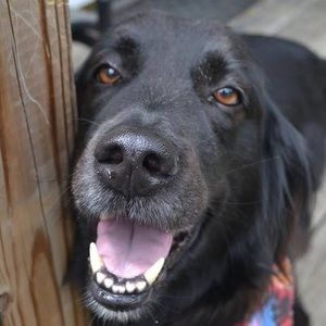 Meet your Posher, Louann